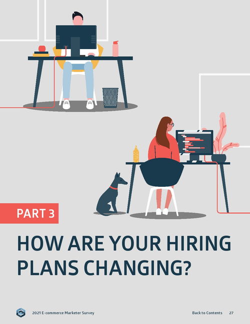 2021年Sidecar電子商務(wù)營銷報告 電子產(chǎn)品銷售趨勢與策略解析